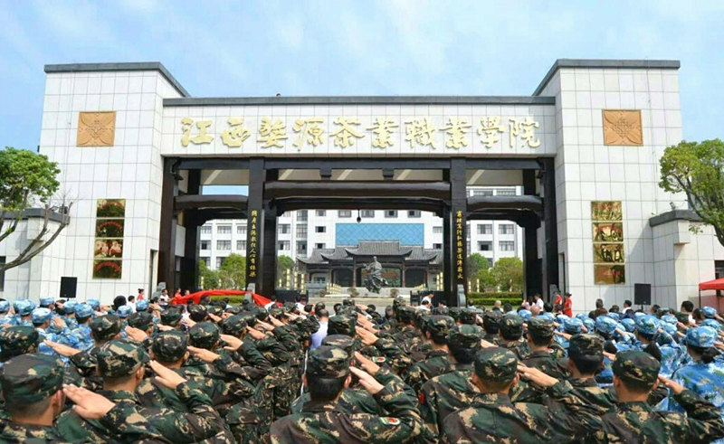 bc体育app下载:一条“茶路”走得宽