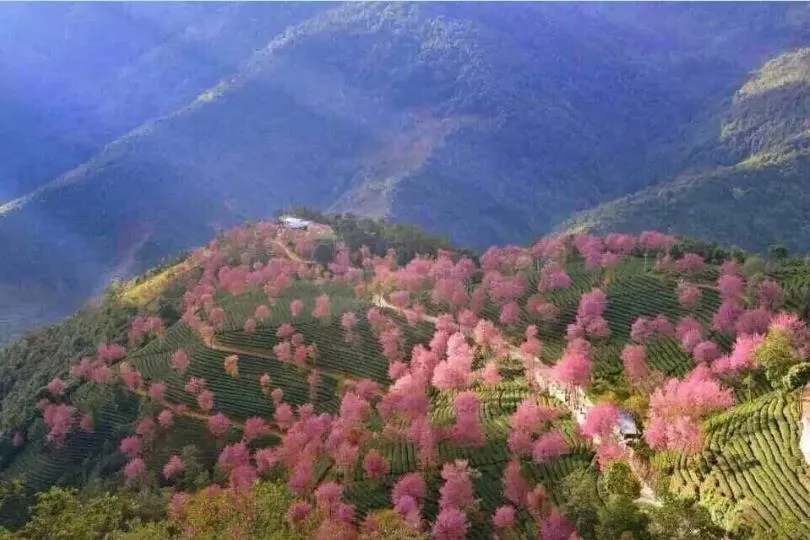 640.webp (6).jpg 640.webp (6).jpg